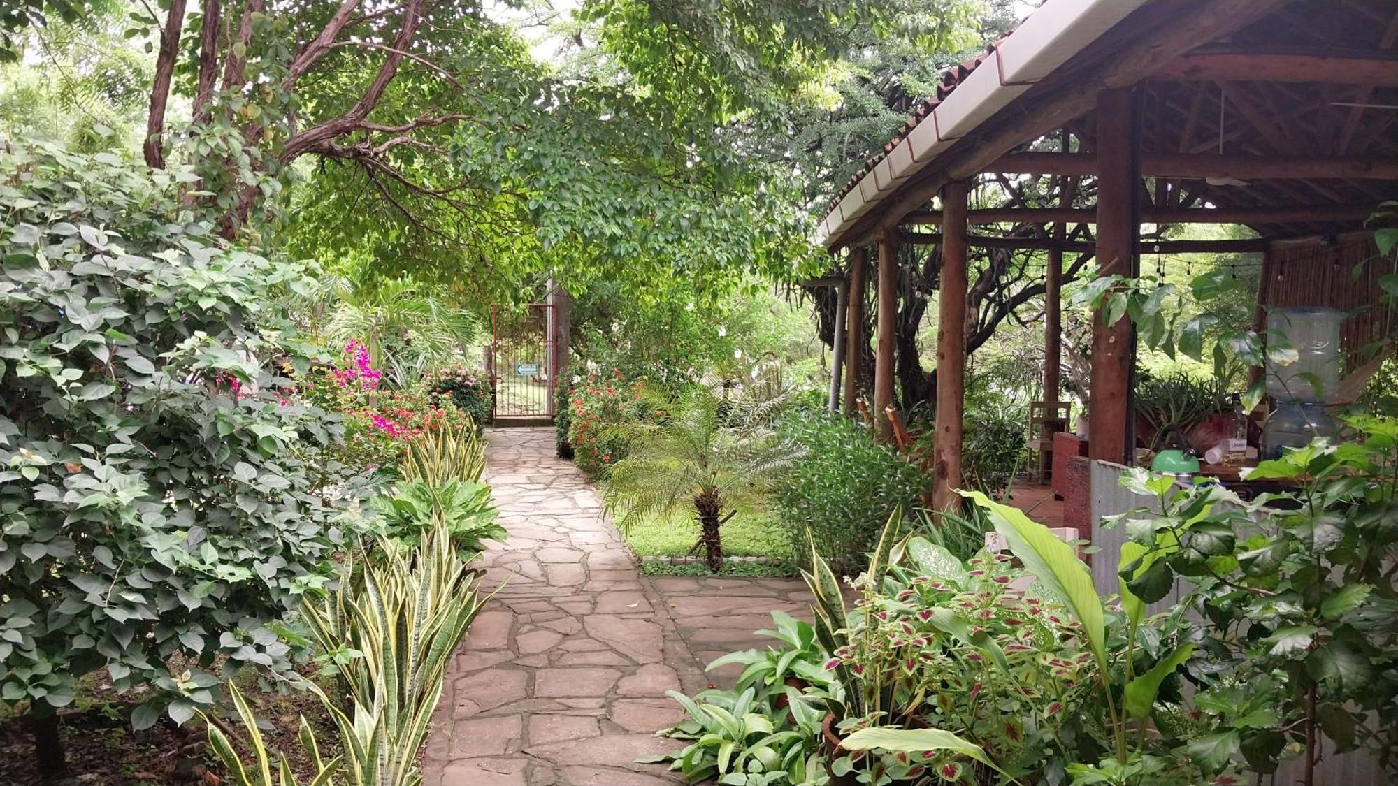 Casa Todo Bueno Bed & Breakfast Transito Eksteriør bilde