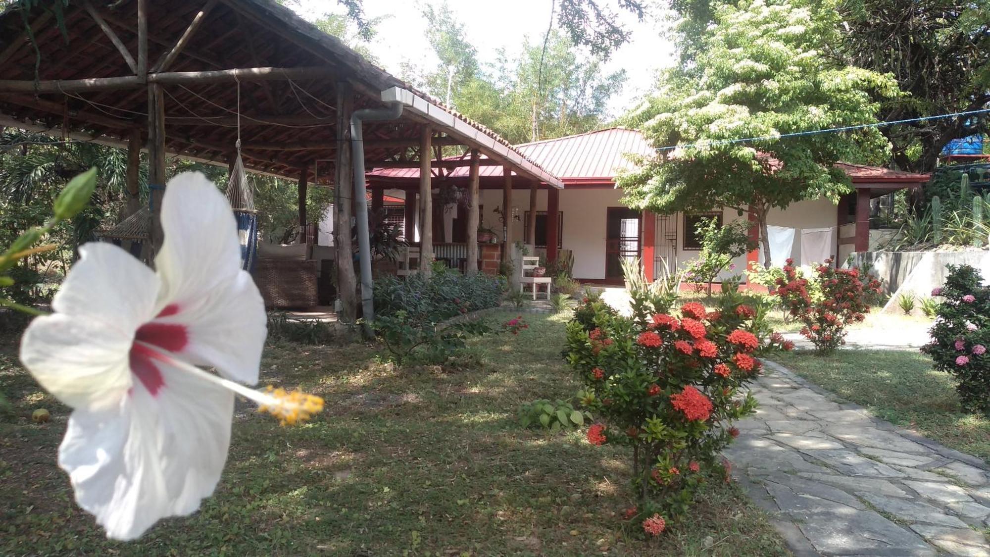 Casa Todo Bueno Bed & Breakfast Transito Eksteriør bilde